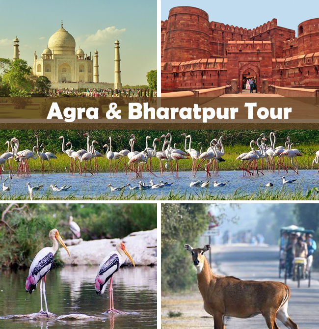 Agra Bharatpur Tour