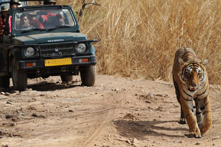 Agra Ranthambore Jaipur Tour