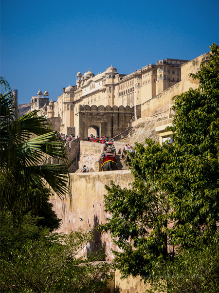 Amber Fort